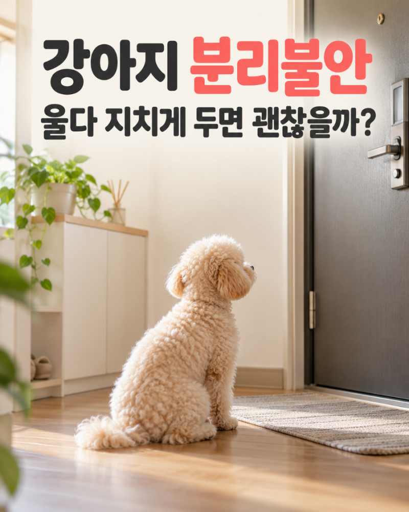 강아지 분리불안, 울다 지치게 두면 나아질까?｜짖음·훈련·장난감 제대로 알아보기