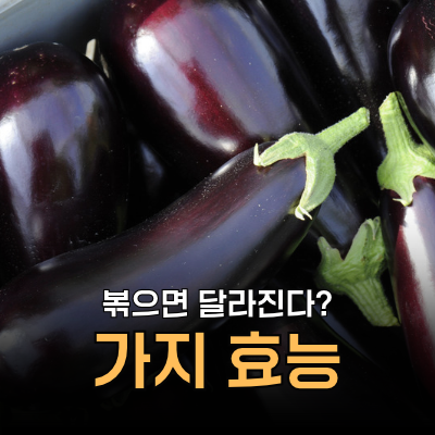 가지 효능, 칼로리는 낮은데 볶으면 달라지는 이유는? 부작용, 영양성분, 먹는법ㅣ망고의 식....