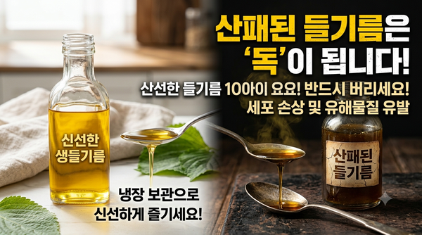 산패된 기름은 암을 유발한다? 산패가 쉬운 들기름 완벽하게 보관하는 법
