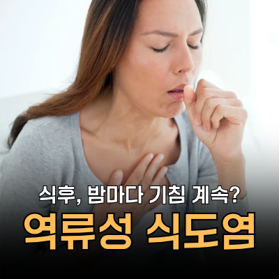 역류성 식도염 기침, 식후 밤마다 계속된다면? 증상, 원인, 대처, 예방ㅣ망고의 바디시그널
