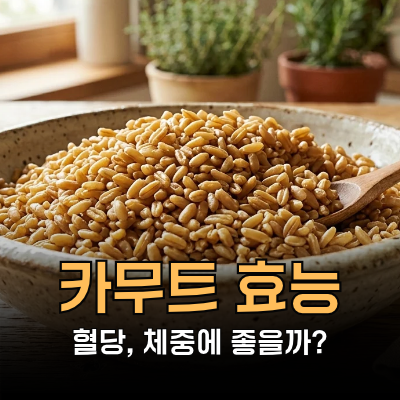 카무트 효능 밥에 넣는 곡물과 카무트 효소 같을까? 부작용, 권장량, 영양성분, 먹는법ㅣ망고....