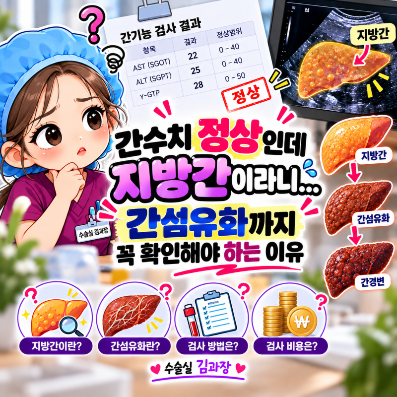 간수치 정상인데 지방간이라니... 간섬유화까지 꼭 확인해야 하는 이유