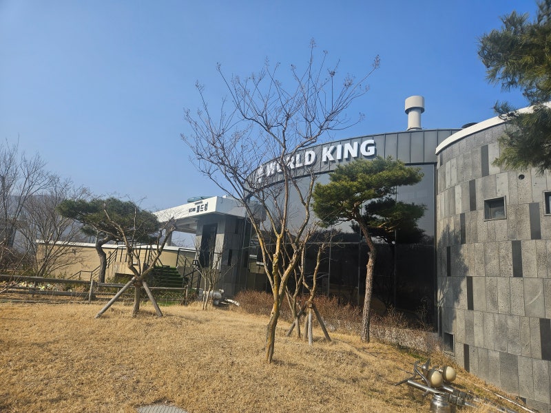 경주키즈카페 / 월드킹 경주보스케점 방문! 아이와 함께 가볼만한 곳
