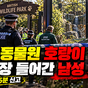 영국 동물원 호랑이 우리에 들어간 남성 사망…오후 1시 35분 신고, 공원 폐쇄