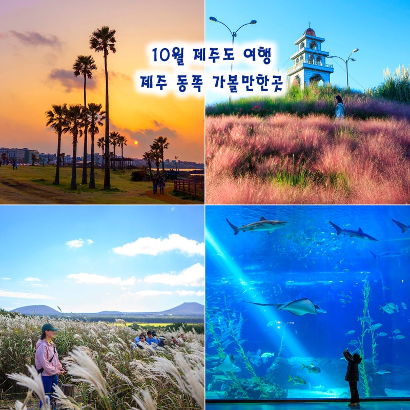 10월 제주도 여행 코스 추천 제주 동쪽 가볼만한곳