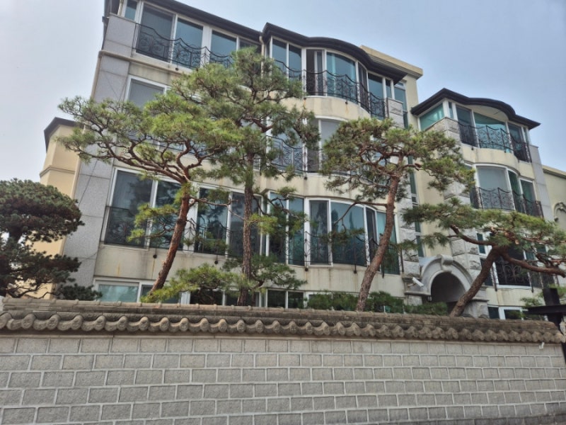 소나무 전지 시기와 가지치기 주의사항, 작업 비용 문의