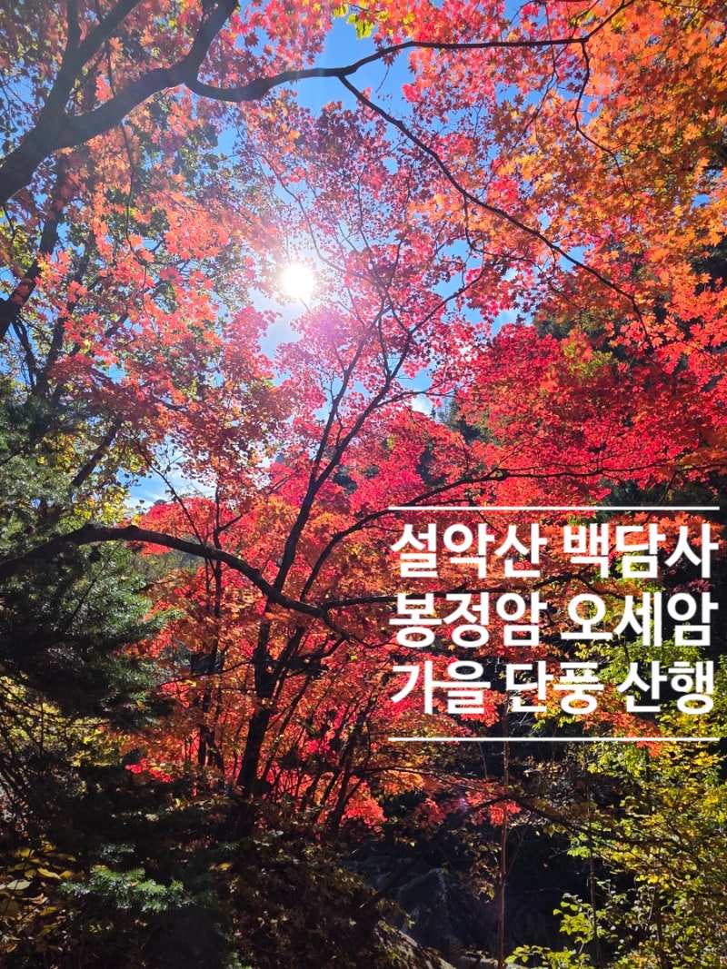 설악산 백담사 봉정암 오세암 4암자 순례길 가을 단풍 산행