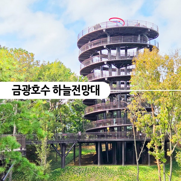 안성 가볼만한곳 평택 근교 단풍 여행 금광호수 하늘전망대 박두진둘레길 산책