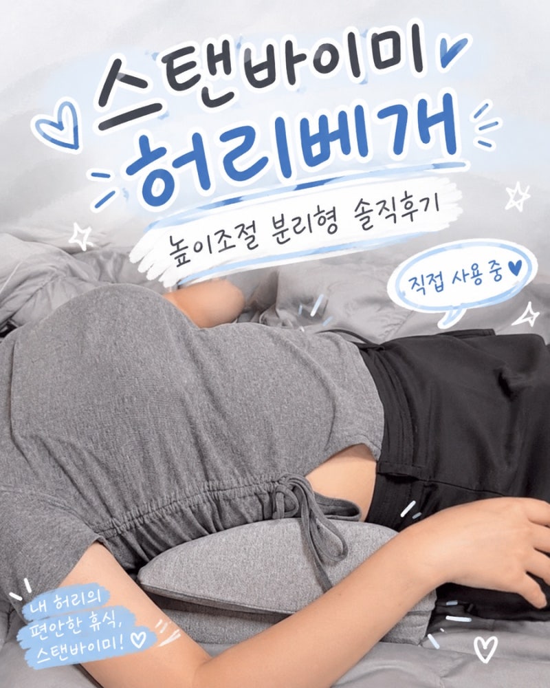 허리베개 추천 스탠바이미 높이조절 허리베개 후기｜백년허리 일자허리베개