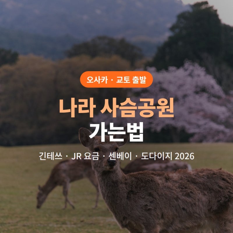 나라 사슴공원 가는법 (오사카 난바 긴테쓰·JR·교토 출발 요금, 사슴 센베이·도다이지 총정....