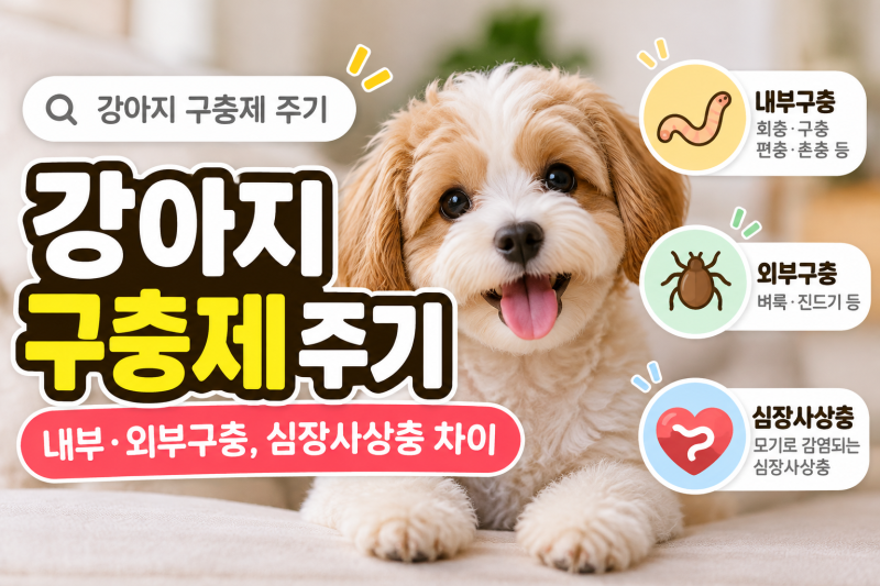 강아지 구충제 주기(종류, 내부·외부구충, 심장사상충 차이)