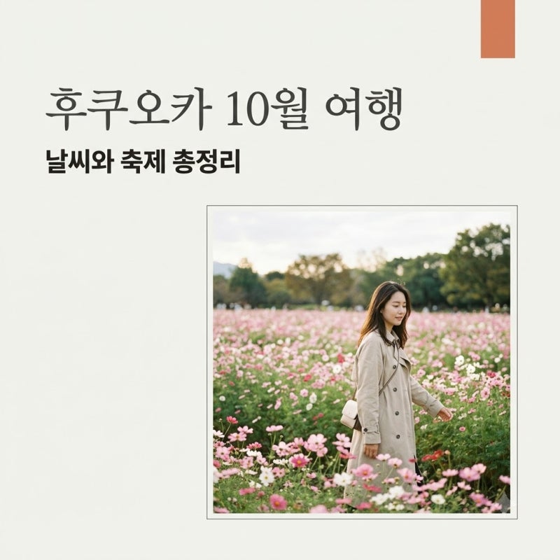 10월 후쿠오카 여행 날씨부터 옷차림 축제까지 완벽 가이드