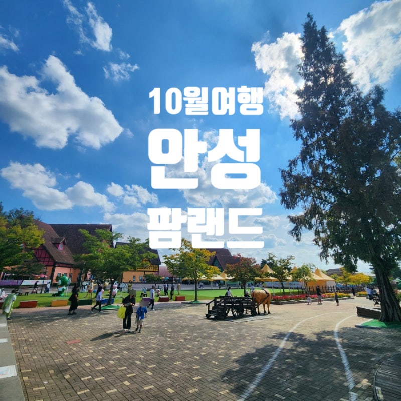 안성팜랜드 10월 가볼만한곳