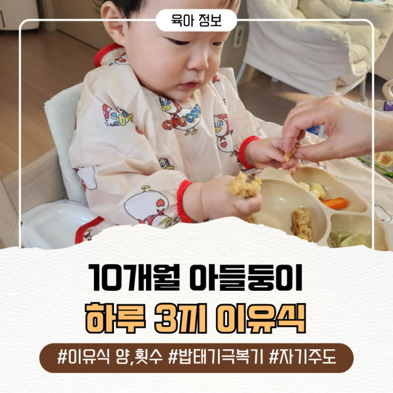 10개월 쌍둥이 이유식 3끼｜이유식 양·횟수부터 밥태기 극복, 자기주도 이유식까지