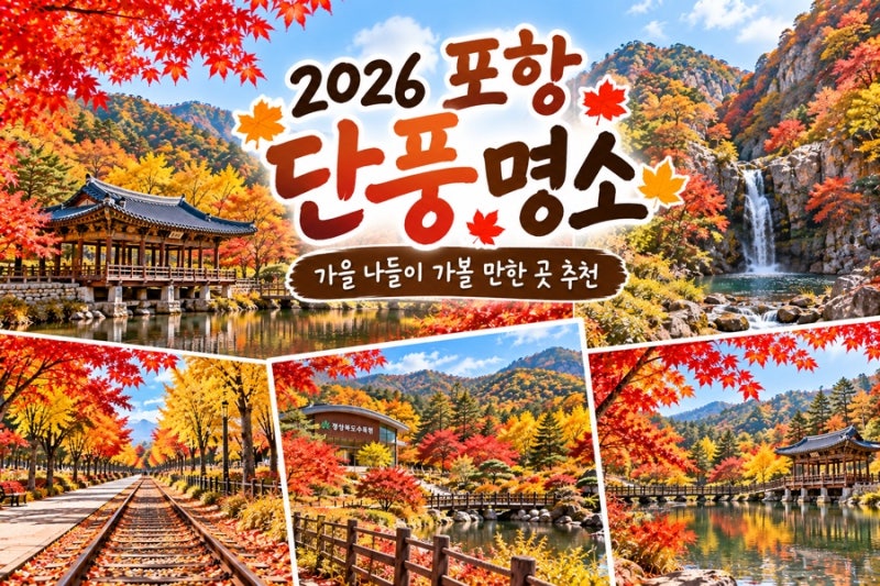 포항 단풍 명소 5곳 추천! 가을에 가볼 만한 곳 총정리