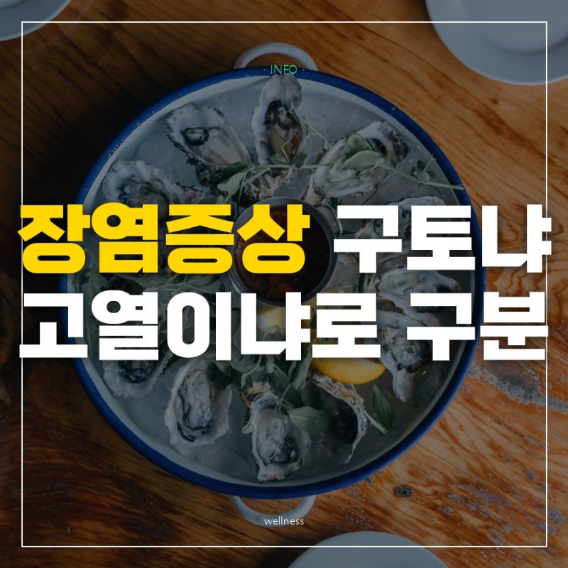 "어제 먹은 굴이 문제였을까" 장염증상이 구토부터 오는 노로바이러스와 고열부터 오는 세균....