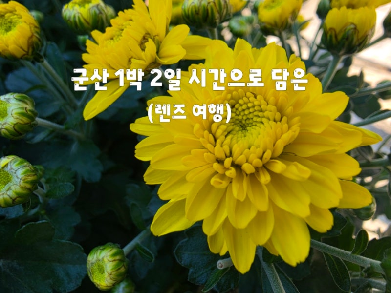 군산 2박 3일 시간으로 담은 렌즈 여행