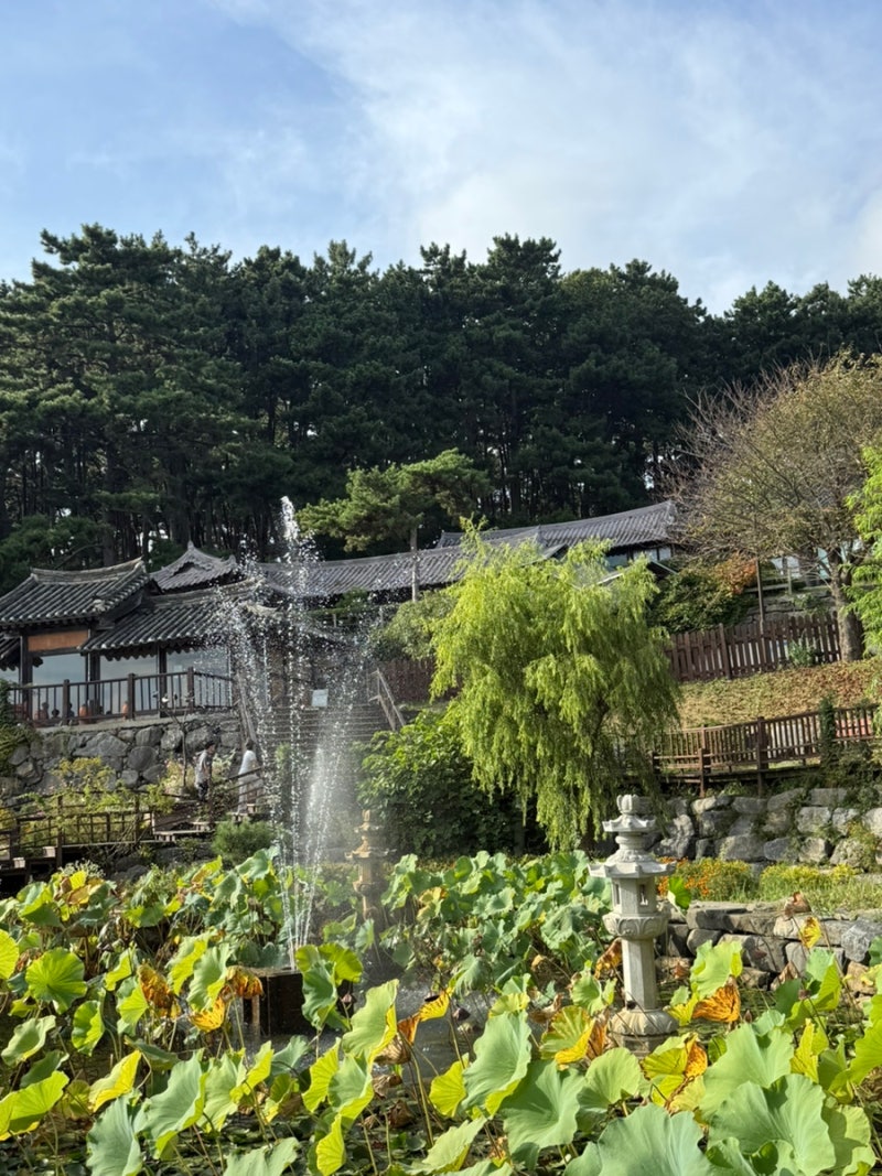 [보령 / 죽도 상화원] 보령 가볼만한 곳 ✨ 여긴 입장료가 아깝지 않네! 상화원에서 만난 바다....