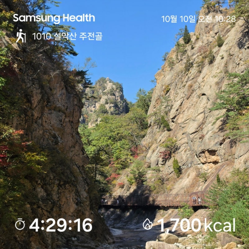 초보자도 가능한 설악산 남설악 주전골 단풍 트레킹 코스 (오색약수~용소폭포, 단풍 개화 현....