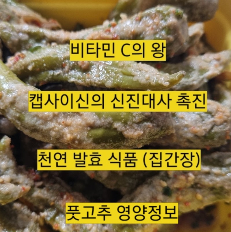 가을 입맛 제대로 잡는 "생콩가루 풋고추 찜" 성공기! (feat. 친정엄마 집간장)