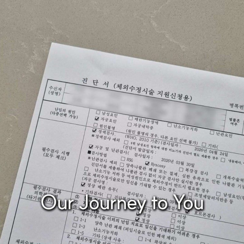 난임부부 시술비 지원 정부24 신청 후기 | 법률혼 기준 진행 순서 & 가장 쉬운 방법