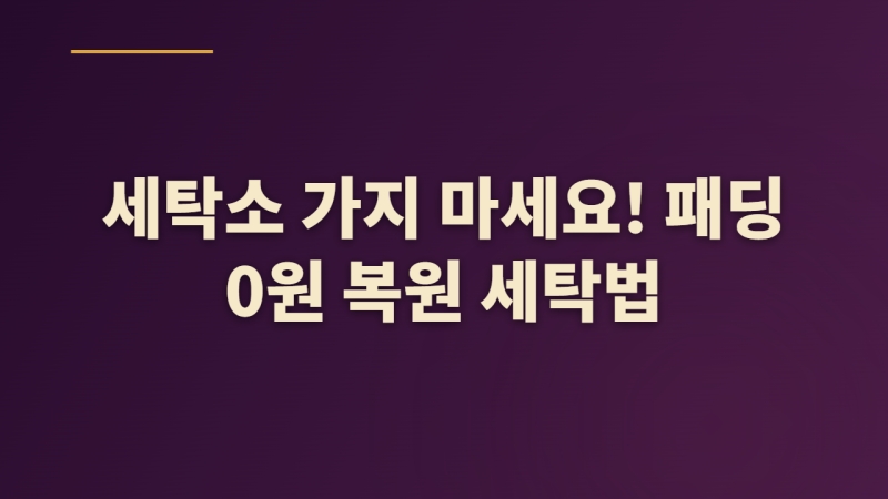 패딩 숨 죽지 않고 냄새 빼는 겨울 패딩 세탁법: 세탁소 비용 아끼는 집물세탁 3단계