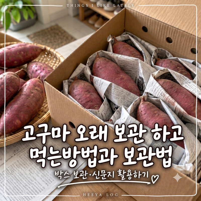 고구마 오래 보관 하고 먹는방법과 보관법