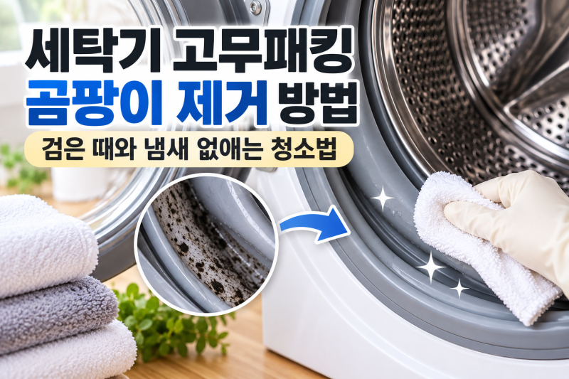 세탁기 고무패킹 곰팡이 제거 방법, 검은 때와 냄새 없애는 청소법