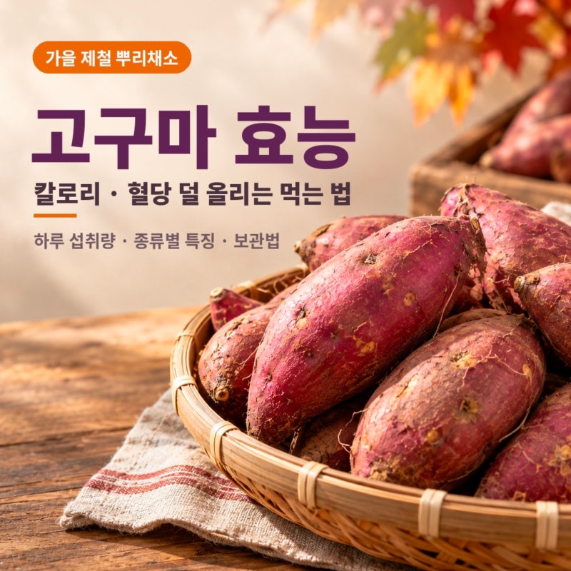 고구마 효능과 칼로리, 혈당 덜 올리는 먹는 법과 식이섬유 많은 음식