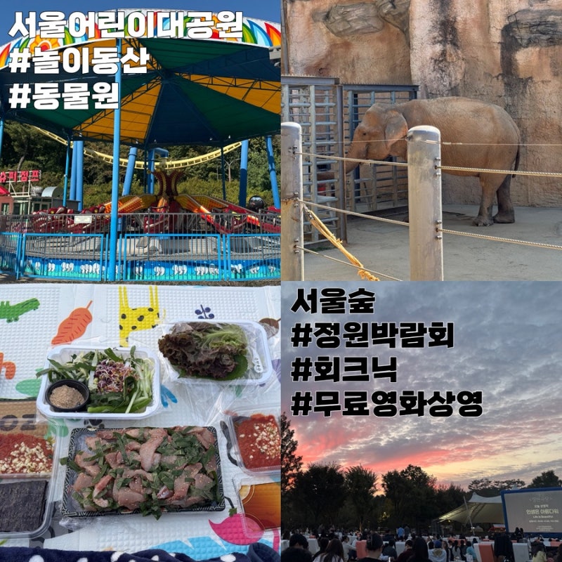 서울 데이트 코스 추천 서울어린이대공원 놀이동산 동물원 서울숲 정원박람회 회크닉