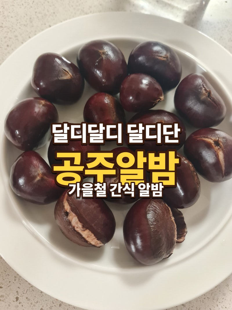 [공주알밤] 군밤 트럭 대신 집에서! 실패 없는 밤 삶기 레시피 공개