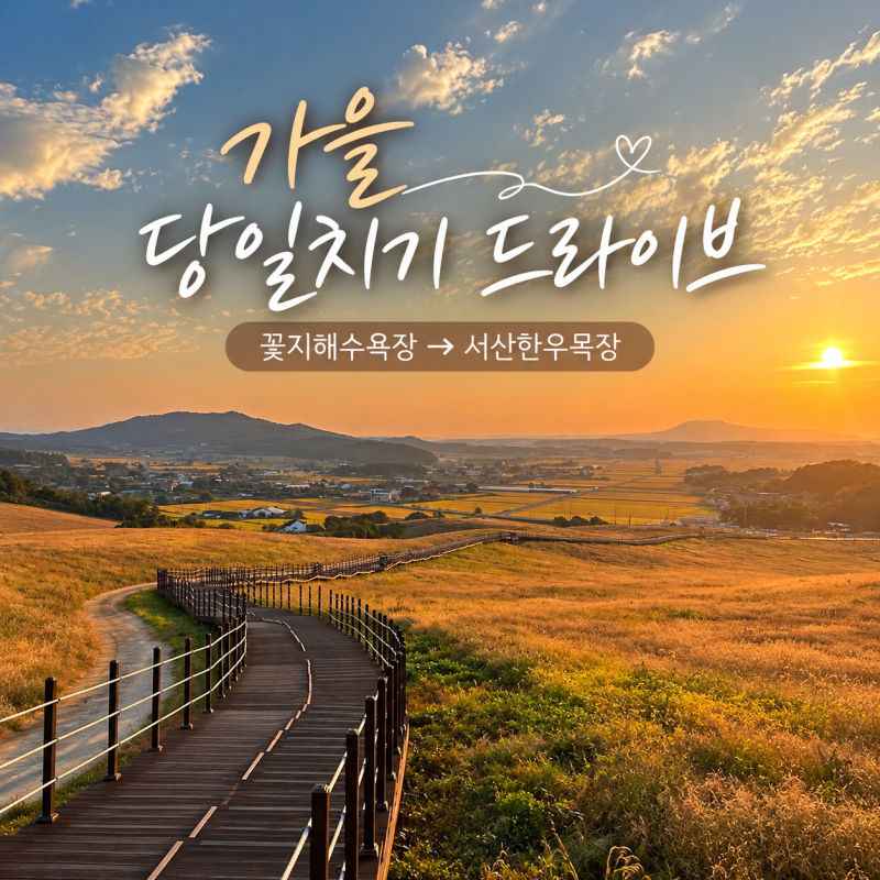 [충남여행/가을 당일치기 드라이브 코스] 태안 꽃지해수욕장 피크닉부터 서산한우목장 웰빙....