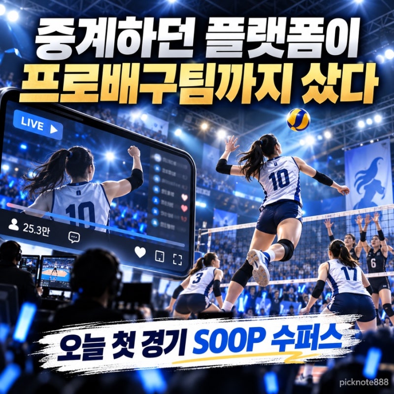 배구 중계하던 플랫폼이 프로팀까지 샀다…오늘 첫 경기 나서는 ‘SOOP 수퍼스’