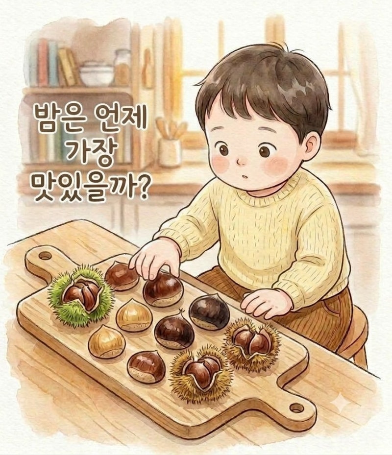 맛있는 밤 고르는 법부터 수확시기별 밤 종류, 달콤한 저온 숙성 보관방법