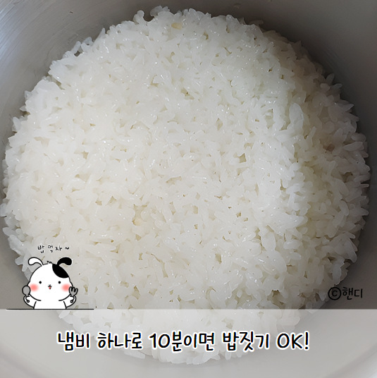 10분 만에 냄비로 밥 짓는 방법