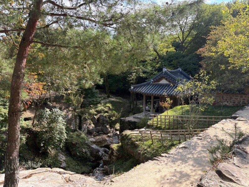 [광주/담양] 광주근교 가볼만한 곳 담양 소쇄원 죽녹원 비교