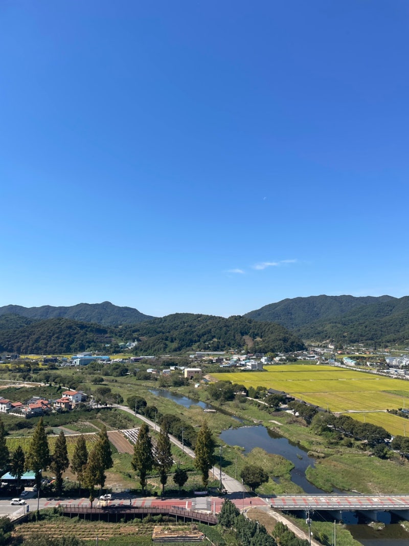 화순 개미산전망대 광주 근교 드라이브로 선선한 가을에 다녀온 힐링 코스