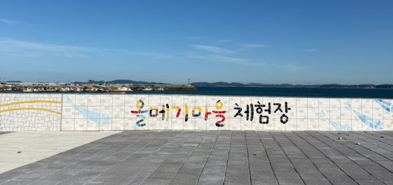 태안 갯벌체험 추천 | 마검포 올메기체험장 백합캐기 후기
