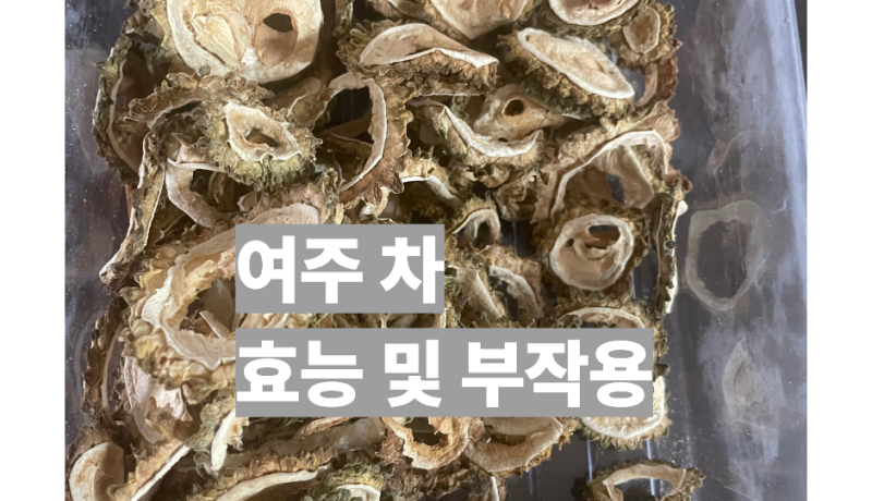 여주차 효능 5가지와 부작용 및 마시는 법 총정리