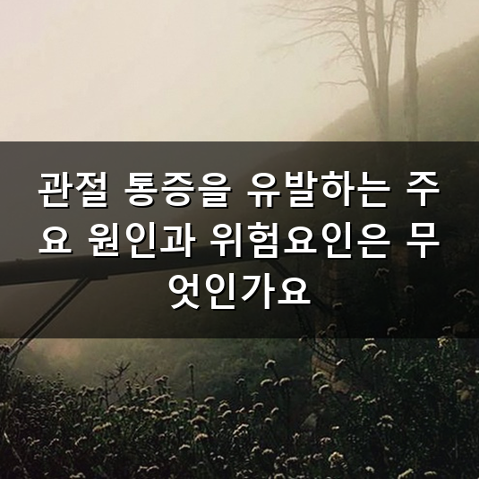 초록잎홍합오일 섭취 기준과 관절 건강 원인 4가지 및 섭취 시 주의사항