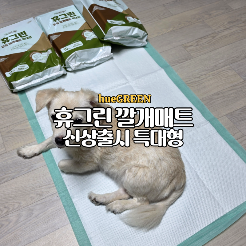 신생아 출산 준비물 휴그린 깔개매트 특대형 안심위생 반려동물 기저귀 매트 준비