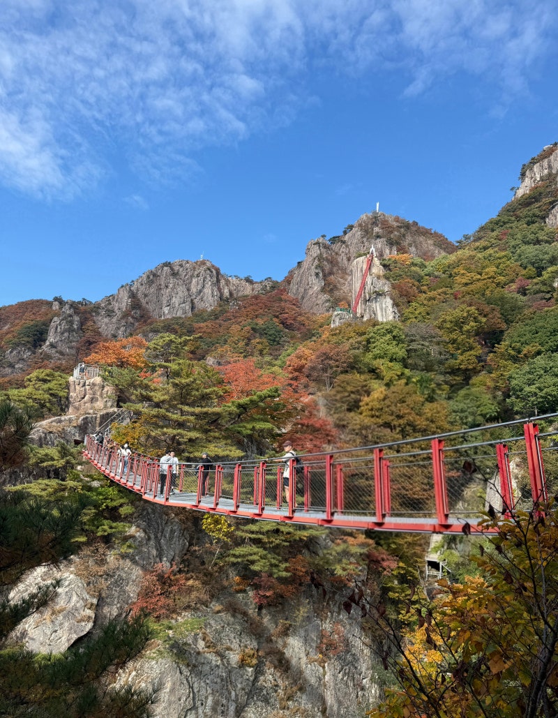 완주 대둔산 ('26.10.11 BAC 100대 명산,5/100)