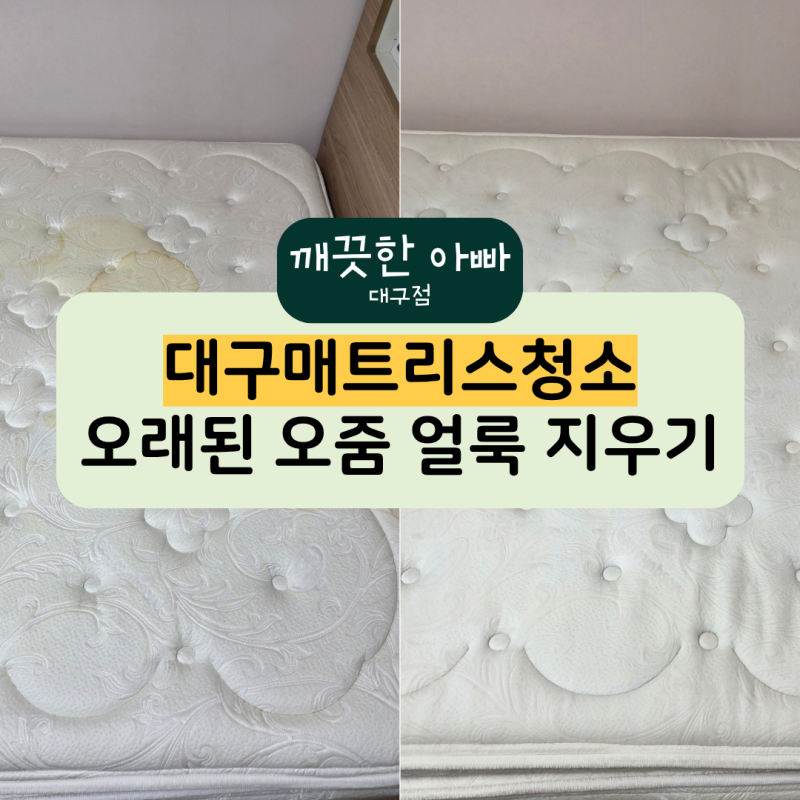 대구매트리스청소 오래된 소변 오줌 얼룩 지우기 세척 과정