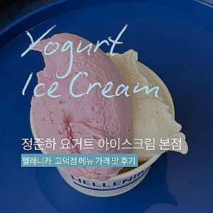 정준하 요거트 아이스크림 본점 | 헬레니카 고덕점 메뉴 가격 맛 후기