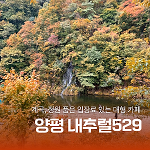 벽계천 계곡과 단풍이 어우러진 곳 양평 정원카페 내추럴가든529
