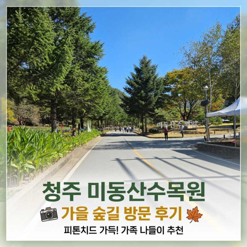 가을 청주 미동산수목원 나들이