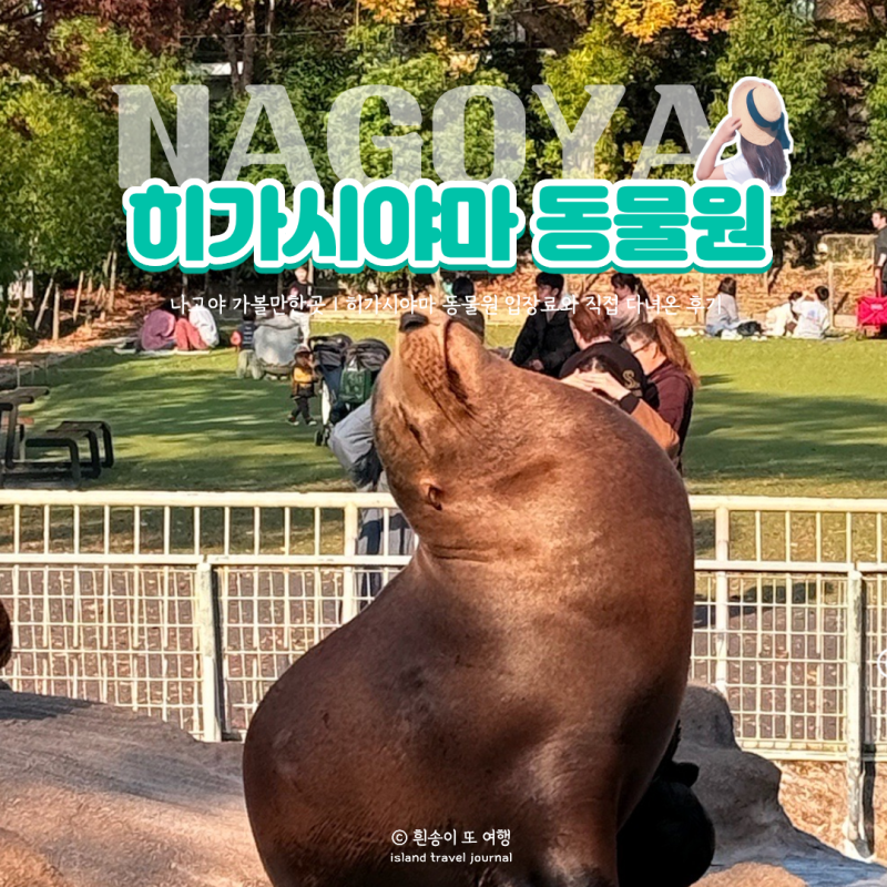 나고야 가볼만한곳 히가시야마 동물원 | 기린·코끼리·바다사자부터 숨바꼭질 북극곰까지