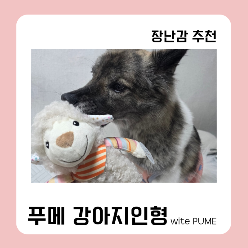 [강아지 장난감 추천] 예민댕도 반해버린 PUME 푸메 양인형 후기