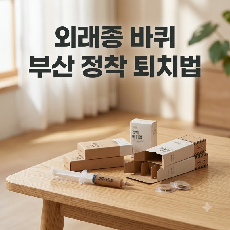 부산 외래종 바퀴벌레 정착 확인! 투르키스탄 바퀴 특징과 퇴치법