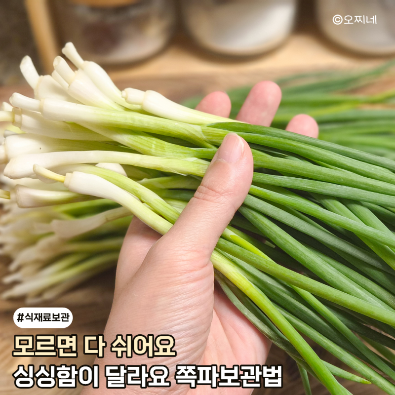 모르면 무르는 쪽파 보관법 이렇게 해보세요